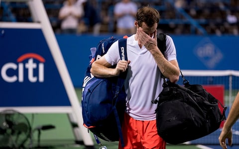 andy murray 2