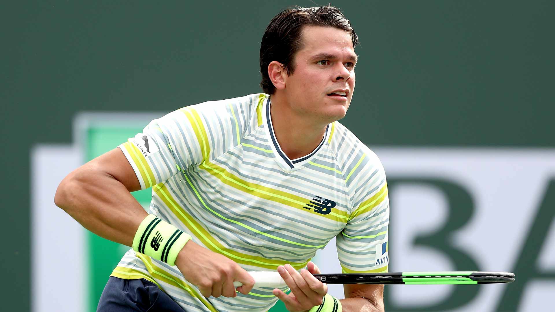 milos raonic