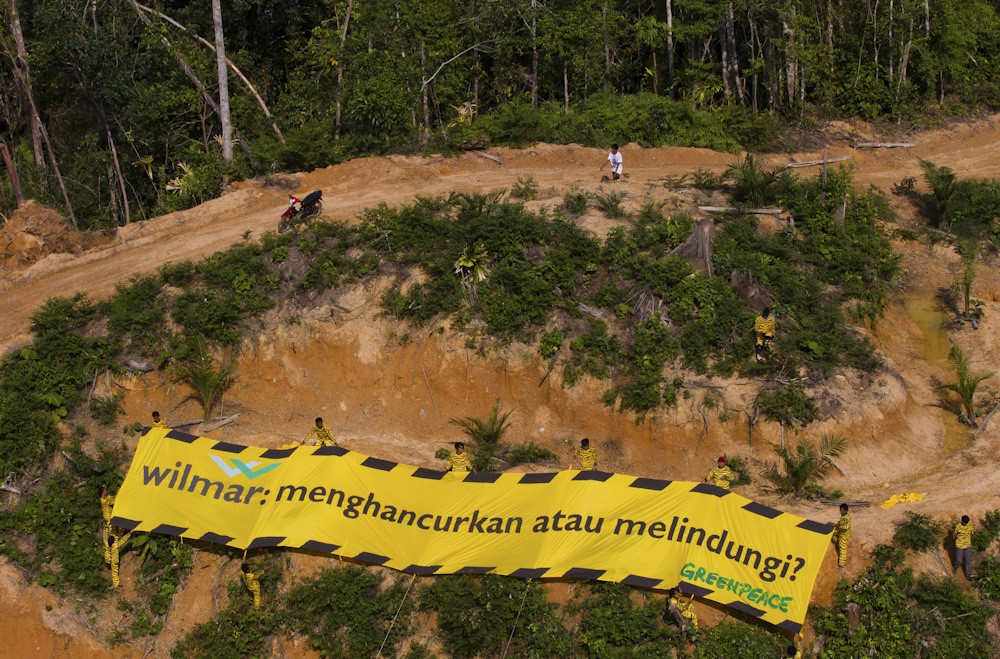 Aksi Greenpeace untuk Wilmar di Jambi