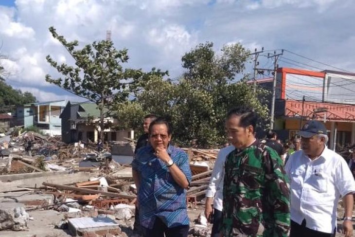 jokowi palu