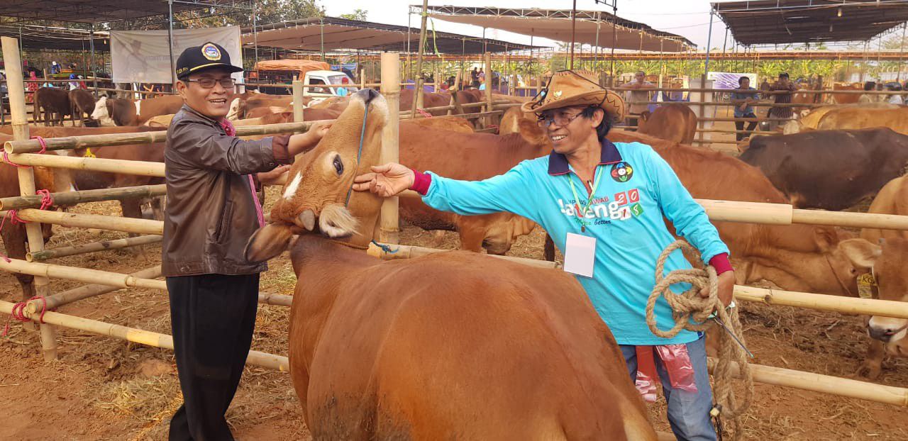 Dalam-72-Tahun-Pedet-Hasil-Program-Inseminasi-Buatan-Catat-Nilai-Tambah-Rp-17-T-di-Peternak-Sapi-doc.kementan-ivoox.id_