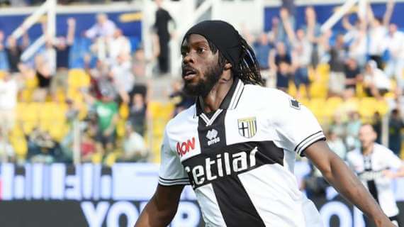 Gervinho - parma
