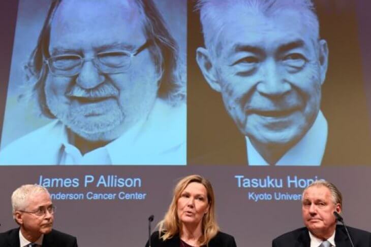 alisson nobel