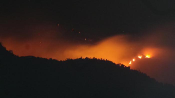 merbabu terbakar
