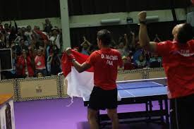 tenis meja