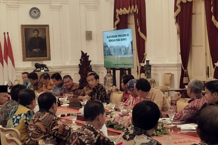 jokowi dan bupati