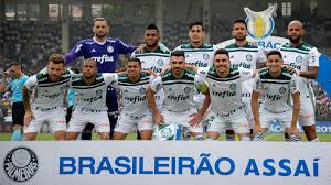 palmeiras