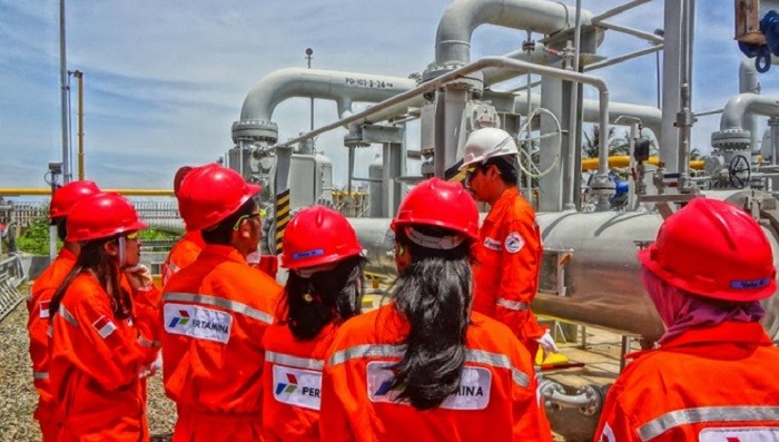 pertamina hulu energi