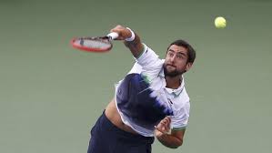 petenis jeremy chardy