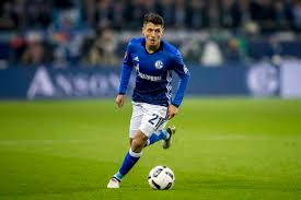 Alessandro Schoepf -schalke