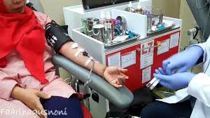 Ini-Faktanya-Donor-Darah-Bisa-Menurunkan-Berat-Badan-doc.donor-ivoox.id