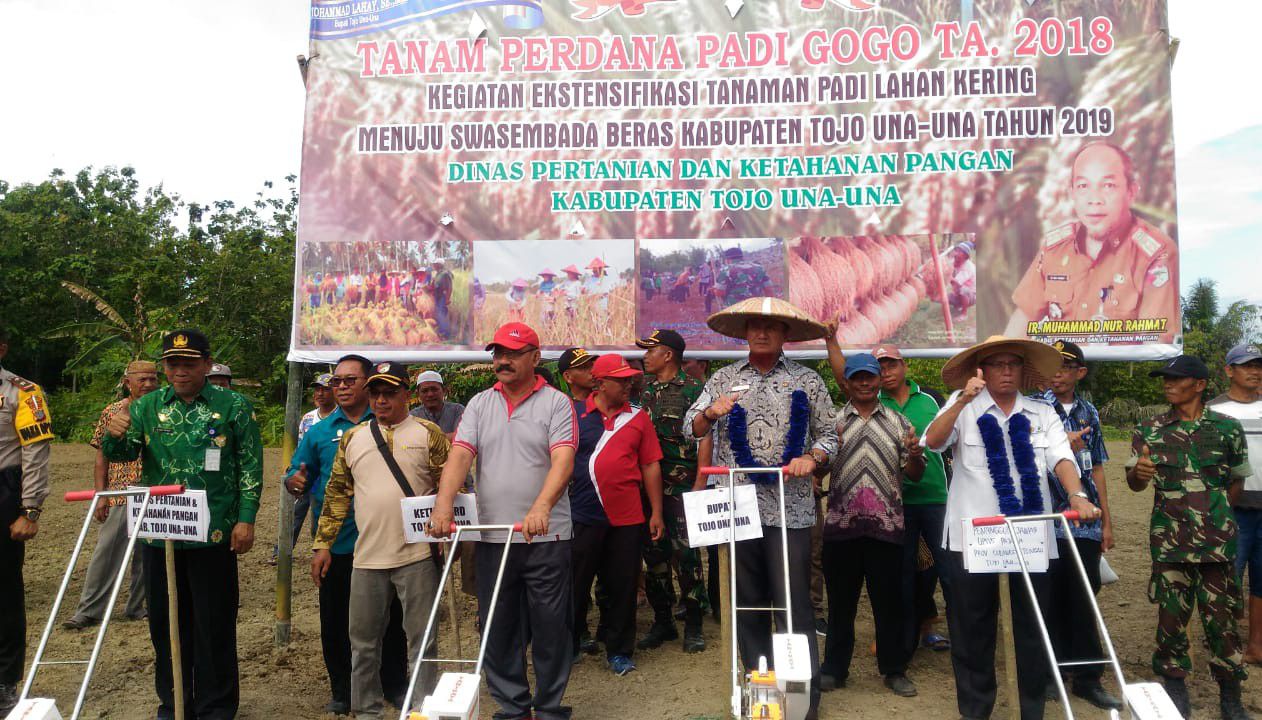 Kementan-Kembangkan-Padi-Gogo-di-Lahan-Kering-Sulteng-doc.kementan-ivoox.id_-1
