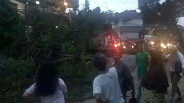 Lokasi Depok Rawan Pohon Tumbang,Waspada!