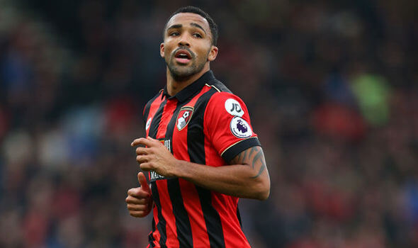 Callum Wilson