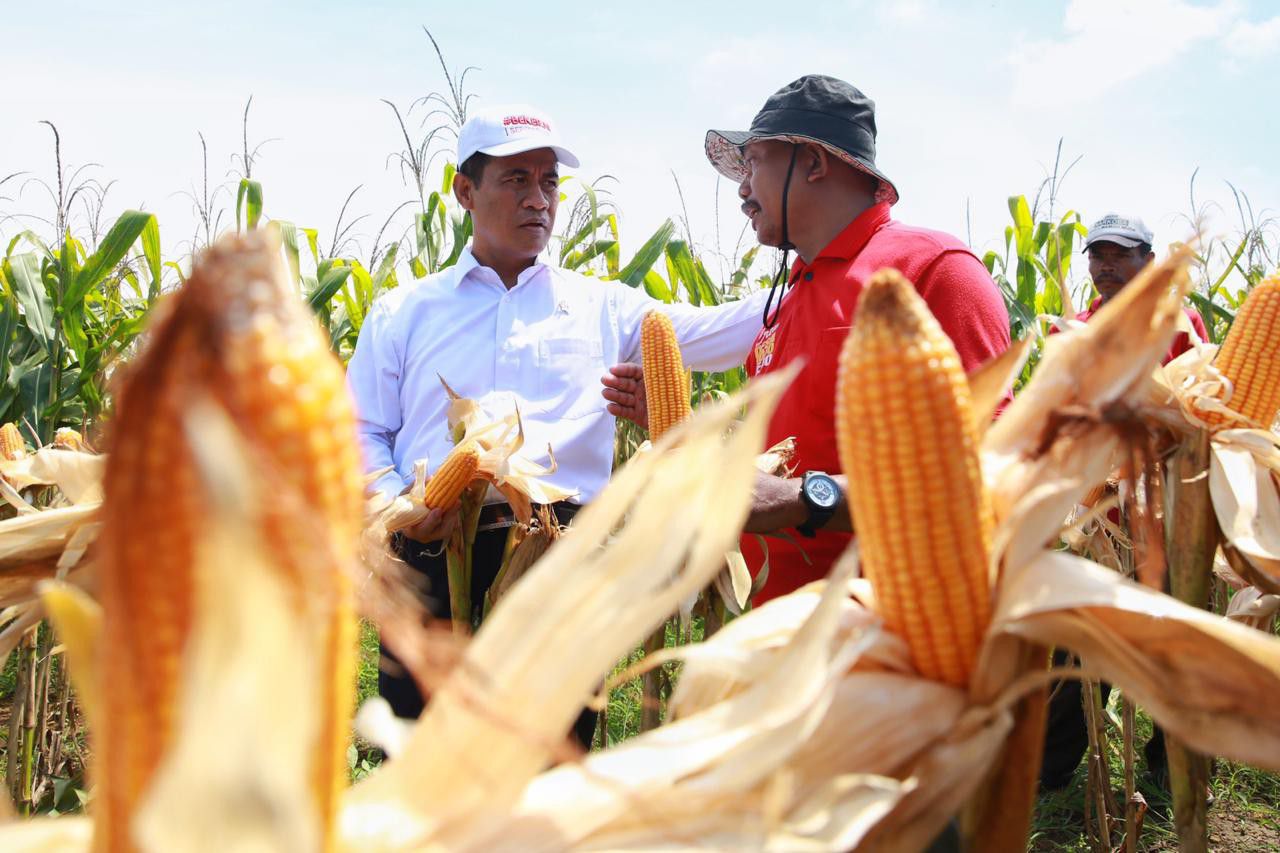 Gandakan-Bantuan-Jagung-2019-Amran-Minta-Lamongan-Pasok-Pakan-Ternak-Blitar-doc.Kementan-ivoox.id_