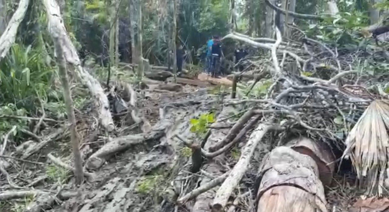 KLHK-Sita-11-Kontainer-Kayu-Illegal-asal-Buton-senilai-Rp.-35-Milyar-doc.Menlhk-ivoox.id_