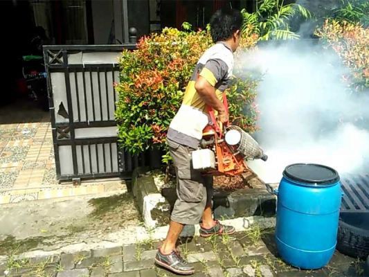 Kasus-DBD-Merengut-2-Korban-Lagi-di-Tasikmalaya-doc.DBD-ivoox.id_