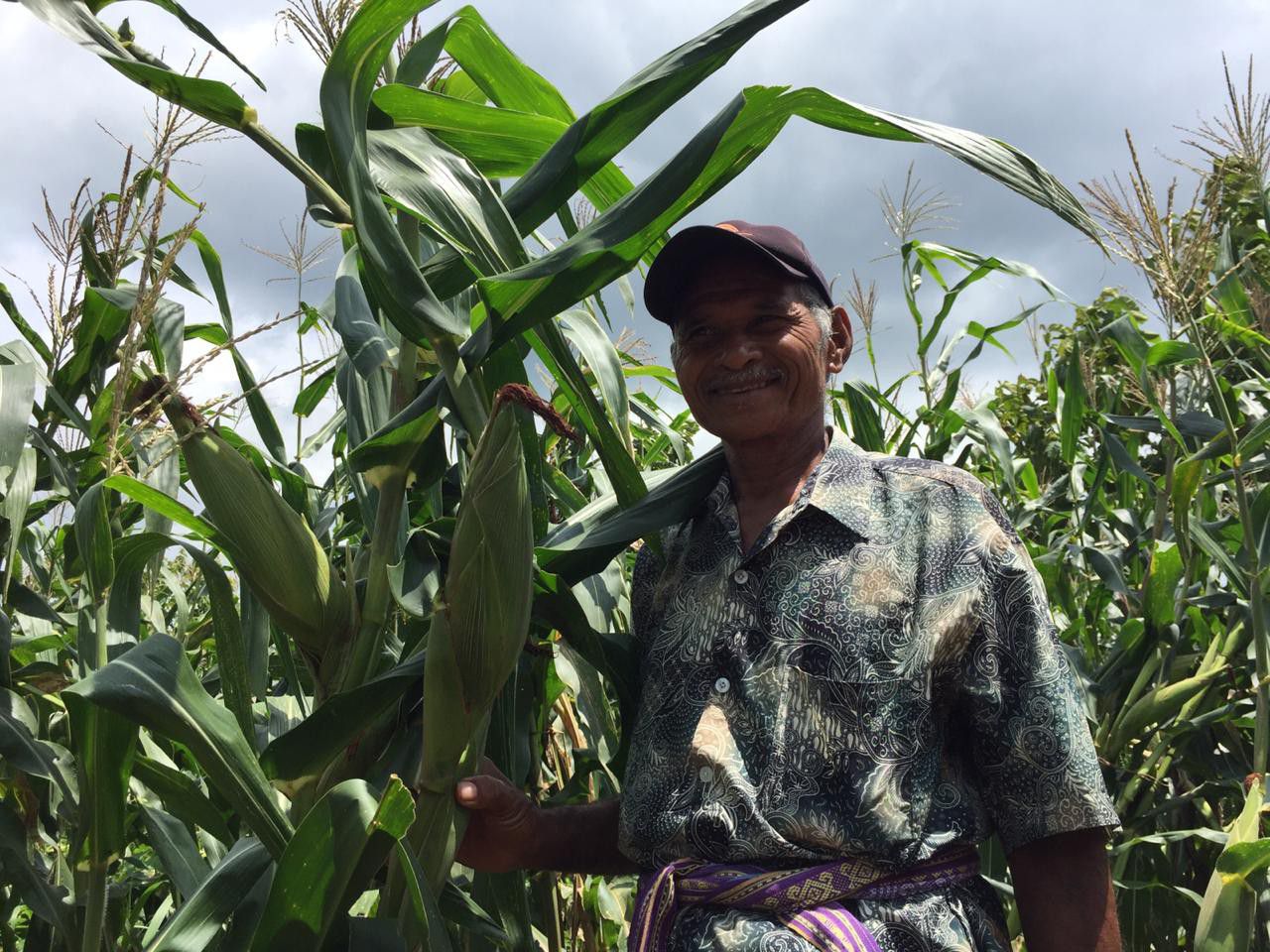 Program-Pertanian-Konservasi-Berhasi-Bantu-Sejahterakan-16.000-Petani-Kecil-Hadapi-Perubahan-Iklim-doc.Kementan-ivoox.id_