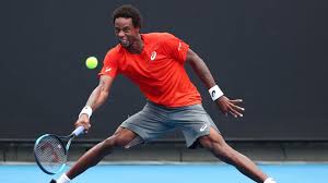 gael monfils - sofia