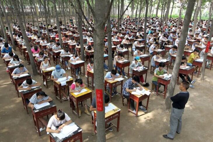 murid china