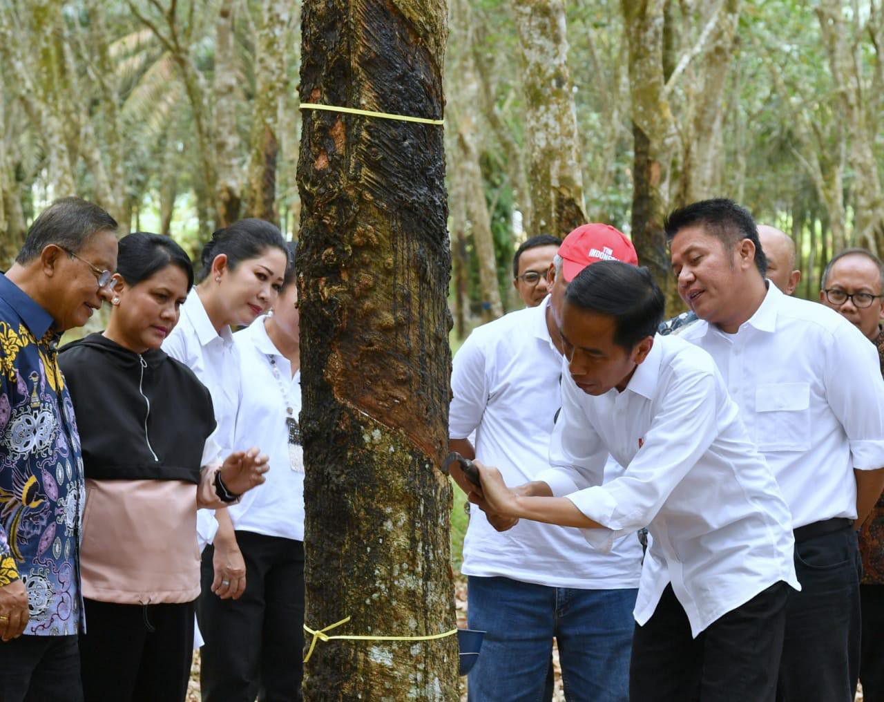 Silaturahmi-Dengan-Petani-Karet-Presiden-Jokowi-Jelaskan-upaya-Pemerintah-Dongkrak-Harga-Karet-doc.Sekpres-ivoox.id_