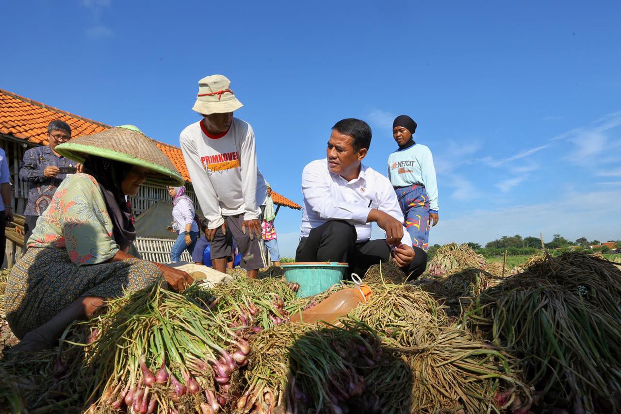Soal-Bawang-Merah-Mentan-Indonesia-Mampu-Serang-Balik-dengan-Ekspor-doc.mentan-ivoox.id_