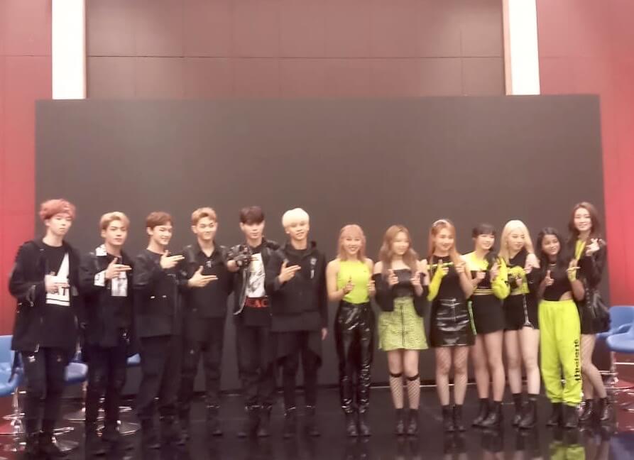 Z Boys dan Z Girls