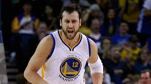 andrew bogut