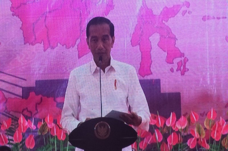 jokowi manado