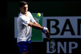 novak djokovic6