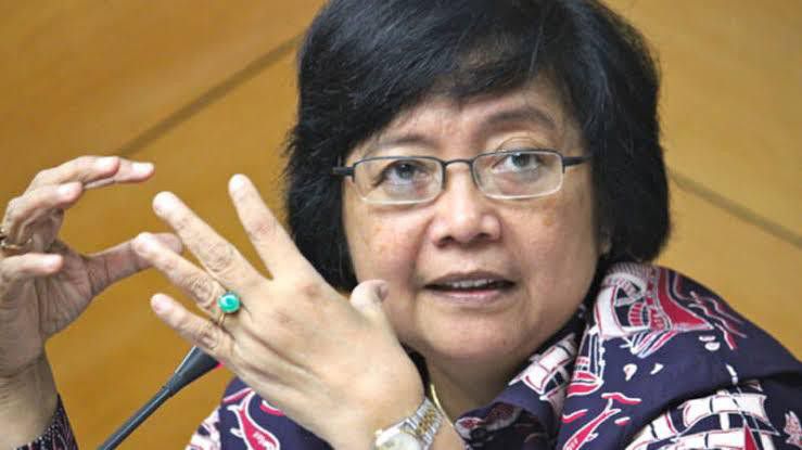 Menteri-Siti-Analisis-Penyebab-Banjir-di-3-Lokasi-doc.MenLHK-ivoox.id_