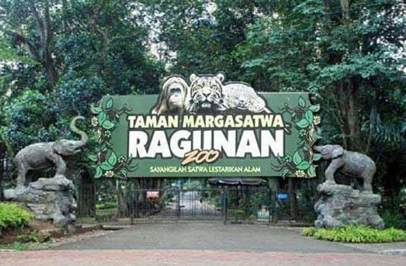 Tunjukkan-Tinta-di-Jari-Besok-Masuk-Ragunan-Gratis-doc.tinta-ivoox.id_
