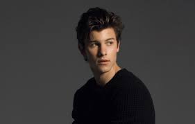 shawn mendes