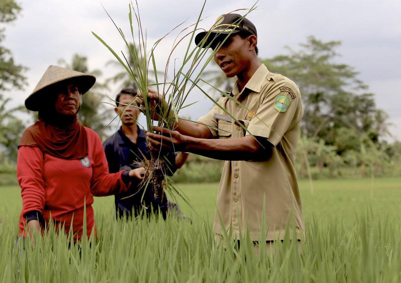Inilah-Program-Kementan-Tekan-Inflasi-dan-Stabilkan-Harga-Pangan-doc.program-ivoox.id_