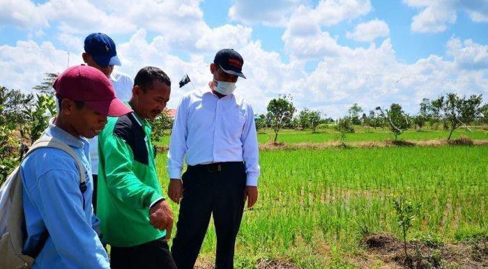 Kegiatan-Optimasi-Lahan-Rawa-Untuk-Program-Serasi-doc.kegiatan-doc.kegiatan-ivoox.id_