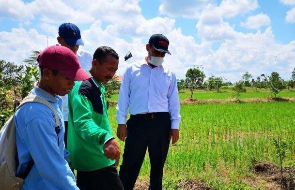 Kegiatan-Optimasi-Lahan-Rawa-Untuk-Program-Serasi-doc.kegiatan-ivoox.id_