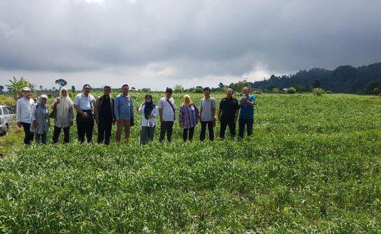 Kementan-Libatkan-Perbankan-Kejar-Target-Swasembada-Bawang-Putih-doc.kementan-ivoox.id_