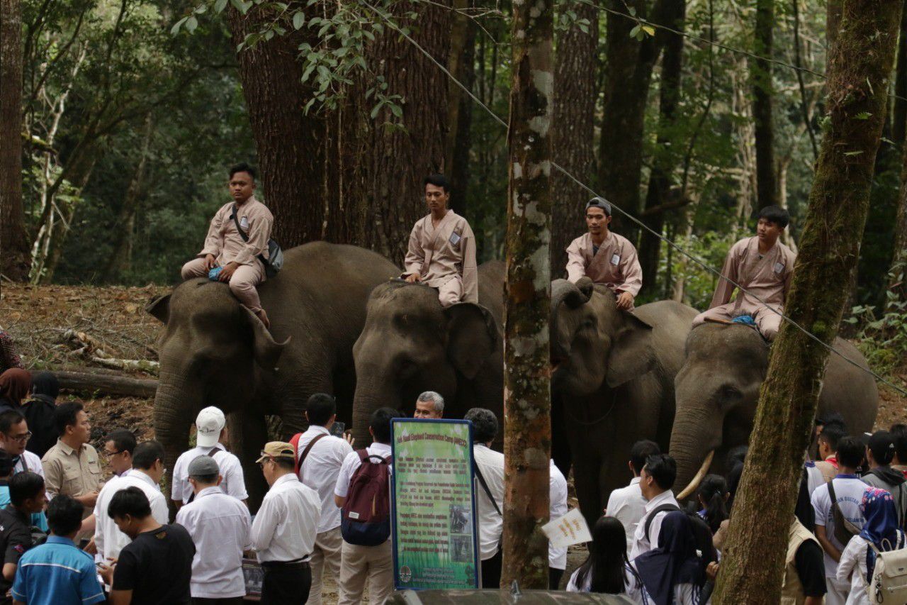 Wisata-Eksotis-Gajah-Jinak-dan-Siamang-di-Aek-Nauli-Doc.MenLHK-ivoox.id_