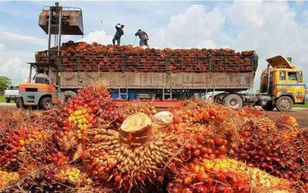 Empat-dari-Sepuluh-Produk-Ekspor-Andalan-Indonesia-Adalah-Komoditas-Pertanian-doc.komoditas-pertanian-ivoox.id_