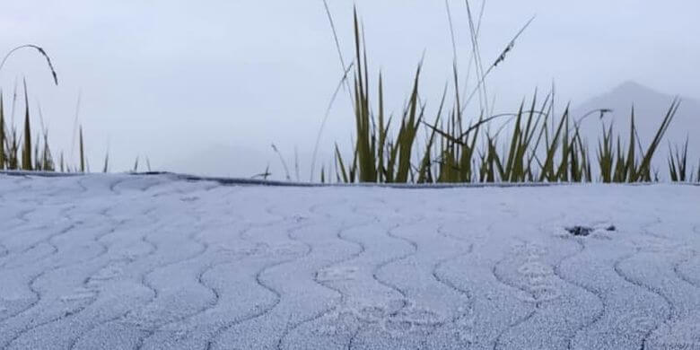 Fenomena-frost-atau-embun-yang-membeku-di-kawasan-Balai-Besar-Taman-Nasional-Bromo-Tengger-Semeru-TNBTS.-FotoTNBTS