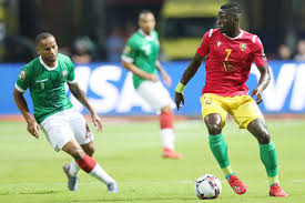 Guinea vs madagaskar