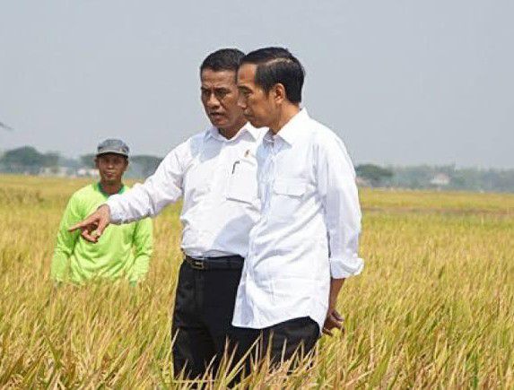 Kementan-Laksanakan-Amanat-Presiden-Jokowi-Efisiensi-Belanja-Alsintan-Rp-1-Triliun-doc.kementan-ivoox.id_