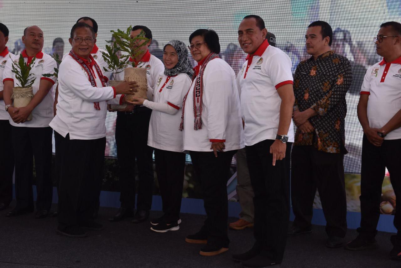 Macadamia-Tanaman-Rehabilitasi-Hutan-dan-Lahan-dengan-Nilai-Ekologis-dan-Ekonomi-Tinggi-doc.rehabilitasi-hutan-ivoox.id_