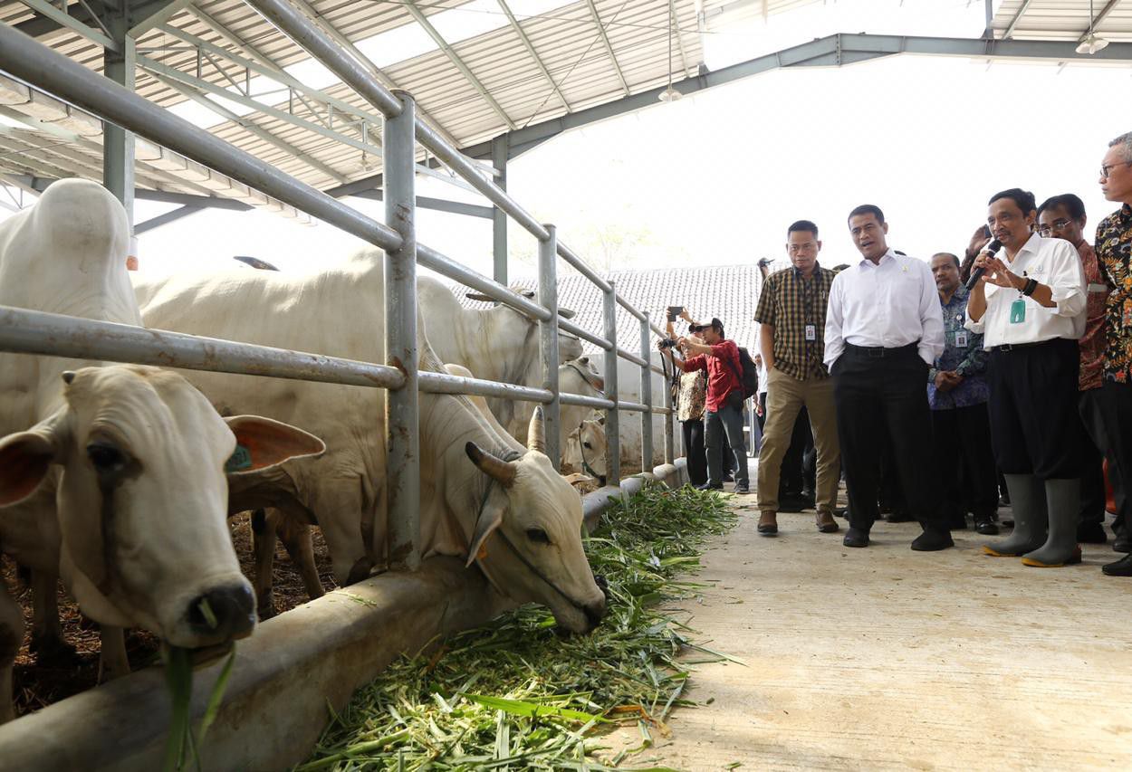 Mentan-Apresiasi-Peternak-Sapi-Potong-Jawa-Timur-doc.mentan-ivoox.id_