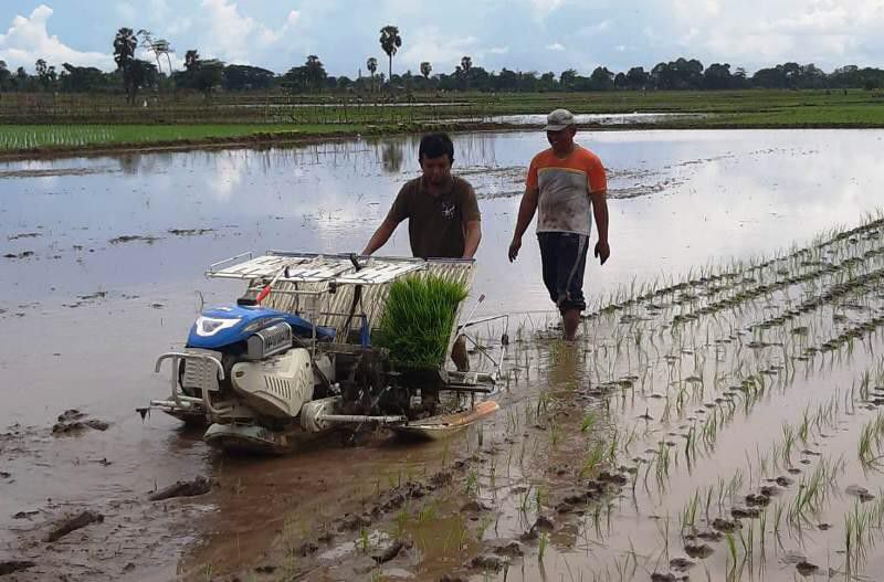 Modernisasi-Mengubah-Wajah-Pertanian-Indonesia-doc.modernisasi-ivoox.id_