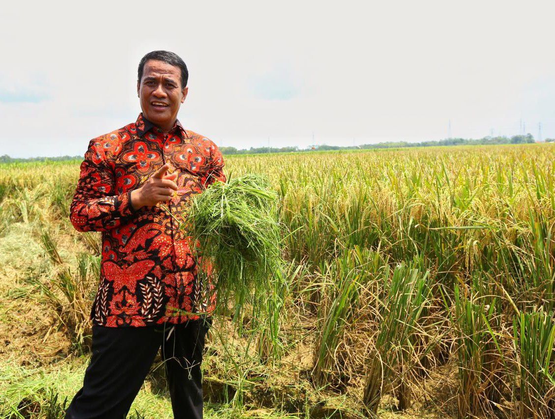 Surplus-Neraca-Perdagangan-Pertanian-Indonesia-ke-Jepang-Meningkat-Tajam-doc.surplus-neraca-ivoox.id_