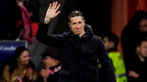 fernando torres1