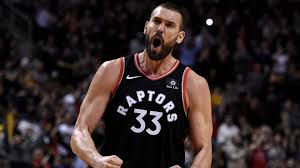 marc gasol