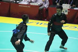 pencak silat