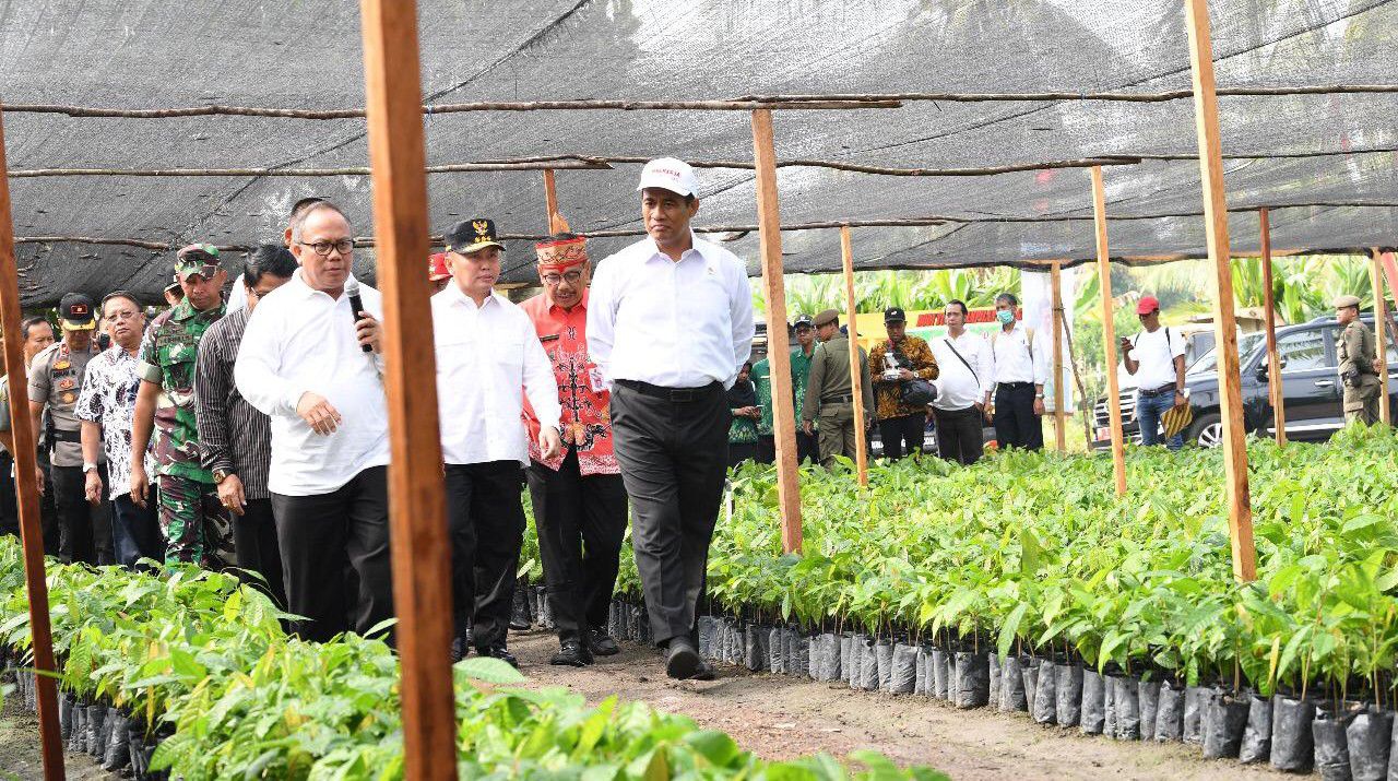 Amran-Setelah-Tanaman-Pangan-Kementan-Fokus-Benahi-Sektor-Perkebunan-doc.kementan-ivoox.id_